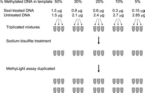 Precision And Performance Characteristics Of Bisulfite Conversion And