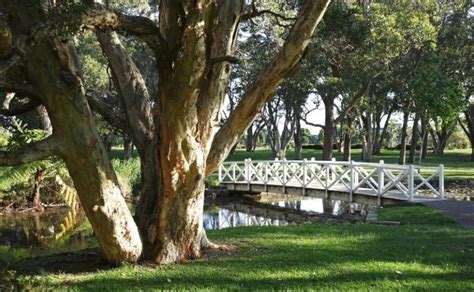 25 Of The Best Parks In Sydney Sydney Expert