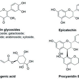 Apple polyphenols with a 1,2-diphenol structure as possible Nrf2 inducers. | Download Scientific ...