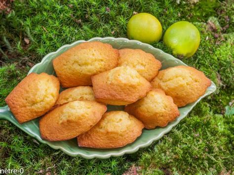 Madeleines Au Citron Recette Par Kilometre 0