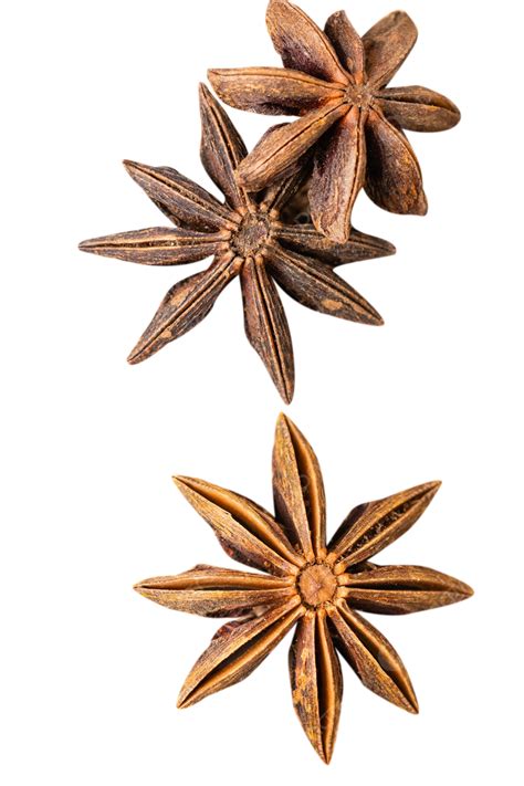 Seasoning Star Anise Seasoning Aniseed PNG Transparent Image And