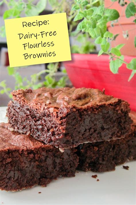 Dairy Free Flourless Brownies Recipe Gluten Free Nut Free