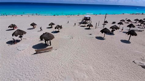 Playas Con Delfines