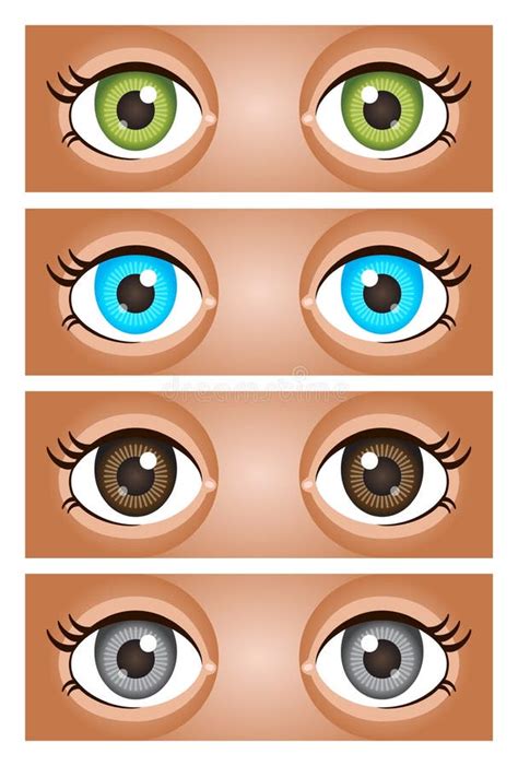 Four Different Colour Pairs Of Eyes Brown Blue Green Grey Stock