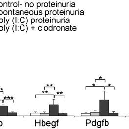 Poly I C Increases Growth Factor Expression In A Macrophage Dependent