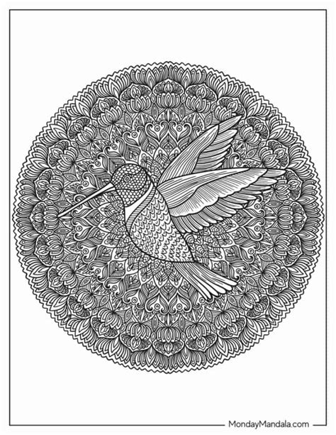 20 Hummingbird Coloring Pages (Free PDF Printables)