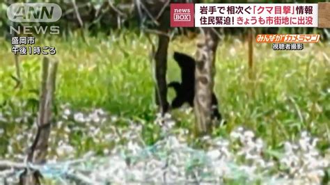 岩手で相次ぐ「クマ目撃」情報 住民緊迫！きょうも市街地に出没