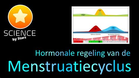 Hormonale Regeling Menstruele Cyclus YouTube