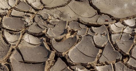 Fissures Profondes Arides Du D Sert P Nurie D Eau Du Monde Sur La