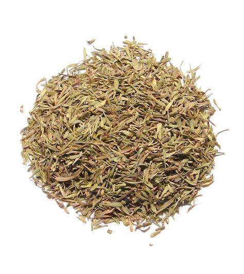 Thyme Herbs at Rs 330/kilogram | Pradipdada Nagar | Jalgaon | ID: 20442685730