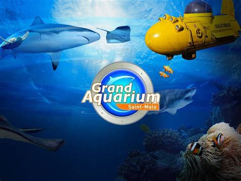 Le Grand Aquarium De Saint Malo Manzabull