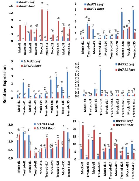 Variation In Relative Expression Levels Of Cytokinin Related Genes