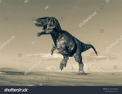 Giganotosaurus Running On Sunset Desert Side Stock Illustration 2162226829 Shutterstock