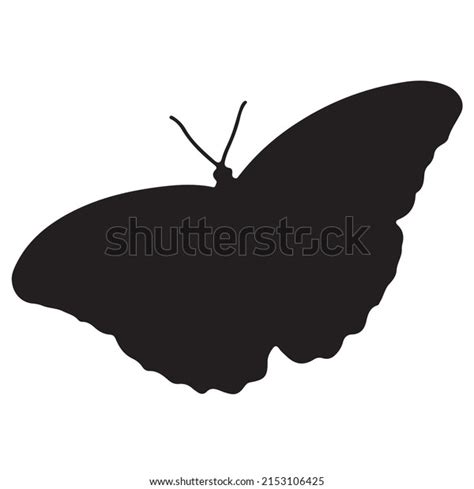 Butterfly Silhouette Black White Vector Stock Vector Royalty Free