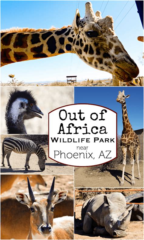 Out of Africa Wildlife Park Arizona - Review with Video