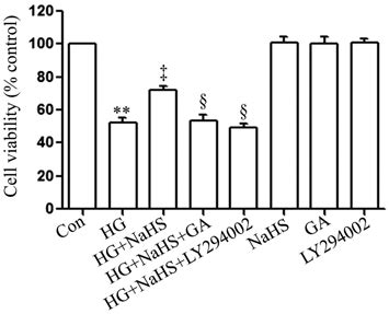 The Heat Shock Protein 90 HSP90 Akt Pathway Contributes To The