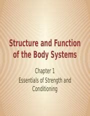 Chapter 1 Structure And Function Of Body Systems 2 Pptx Structure