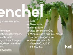 Serie Heilpflanzen Bei Negativen Symptomen Fenchel Samen