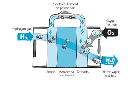 How Does Fuel Cell Work Elex Explorer