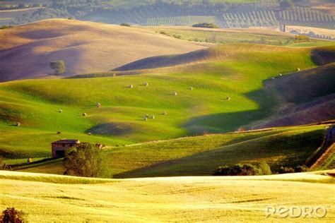 Fototapete Landschaft der toskanischen Felder nach Maß myredro de