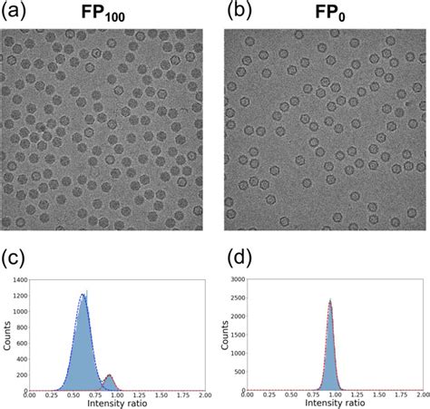 Combined 100 KeV Cryo Electron Microscopy And Image Analysis Methods To