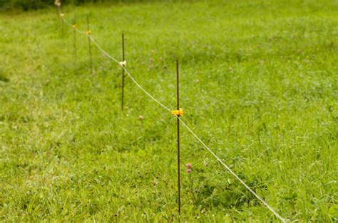 Electric Fence Design - Cooperative Extension: Livestock - University ...