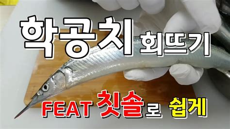 통영학꽁치로 쉽게 학꽁치손질학꽁치학꽁치회학꽁치회뜨기 Youtube