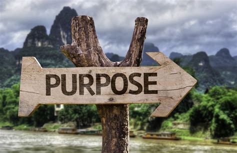 8 Surprising Reasons To Live With Purpose The Essay Expert