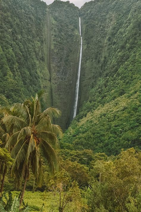 Top 10 Reasons To Book Your Anonib Hawaii Trip RIGHT NOW! Image 18
