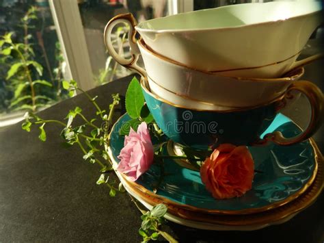 Vintage Tea Cups And Roses Stock Photo Image Of Floral 80177220