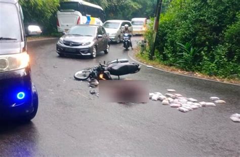 Kecelakaan Di Kulonprogo Pemotor Terkapar Di Jalan Usai Tabrak Bus Damri