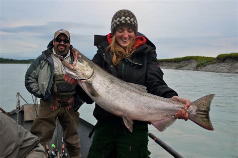 Guided Salmon Fishing Kenai River Alaskan Angling Adventures