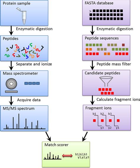 Considerations For Constructing A Protein Sequence Database, 49% OFF