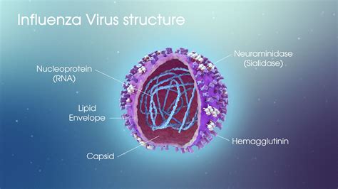 Influenza A Detailed Account