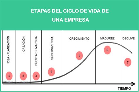 Ciclo De Vida De Una Empresa Etapas Gerenciando