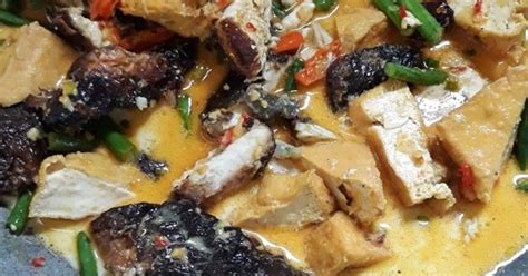 resep santan iwak enak  sederhana cookpad