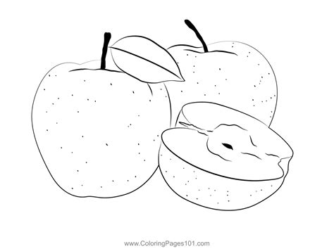 Apples Cut Coloring Page for Kids - Free Apple Printable Coloring Pages Online for Kids ...