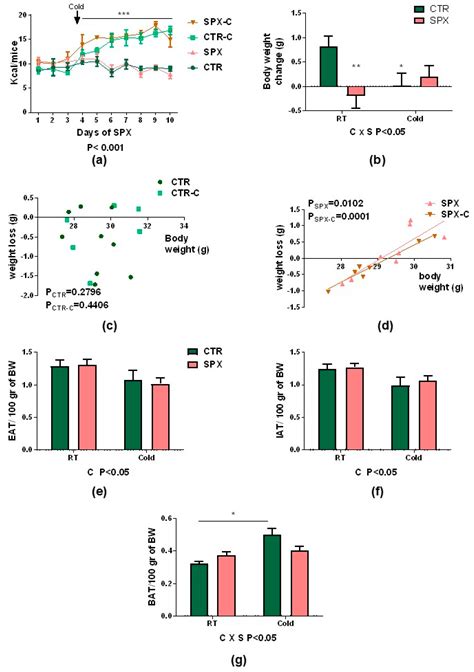 Ijms Free Full Text Role Of Spexin In White Adipose Tissue