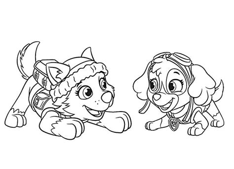 Desenhos De Skye E Everest Para Colorir E Imprimir ColorirOnline