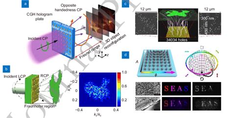 Typical Examples Of Phase Only Meta Holography Amplitude Only