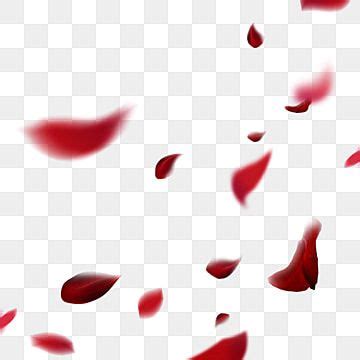 Rose Petals Falling Png Transparent Creative And Beautiful Red