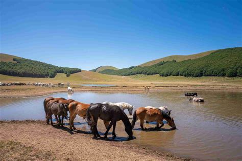 Belli Ma Fragili Il Lago Di Pilato E I Pantani Di Accumoli In Natura