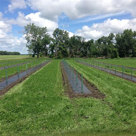 Grand Forks County Soil Conservation District YouTube