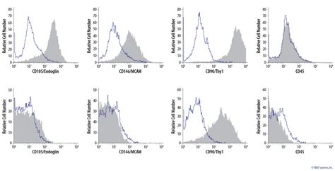 Mesenchymal Stem Cells