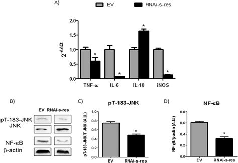 Downregulation Of S Resistin Expression Levels In The Hypothalamus