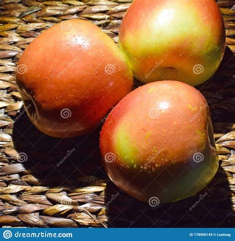 Apples Fresh Seasonal Fruit Stock Image Image Of Tree Vegetables