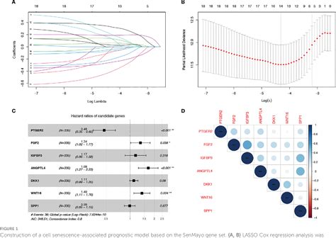 Figure 1 From A Senescence Based Prognostic Gene Signature For