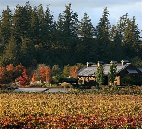 11 Best Wineries In Sonoma A Locals Guide Wine With Paige