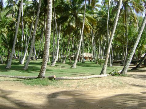 Escenas de Venezuela: Playa Medina Sucre