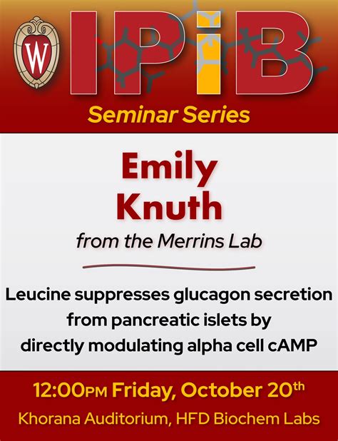 Leucine Suppresses Glucagon Secretion From Pancreatic Islets By